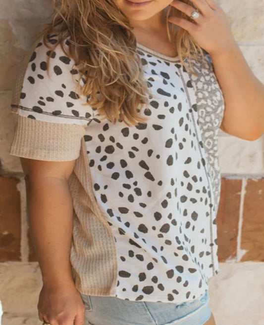 Plus Size Leopard V-Neck Short Sleeve T-Shirt - Whimsical Appalachian Boutique
