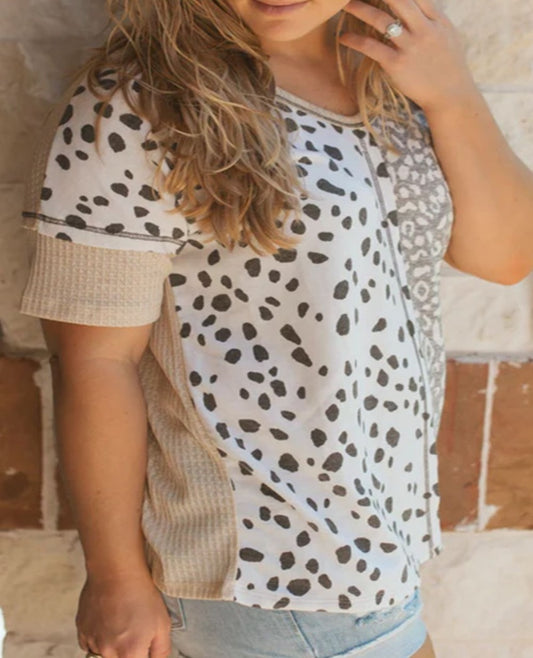 Stylish Plus Size Leopard Print Tee with V-neck design, perfect for any occasion. Comfort meets chic in inclusive sizes.