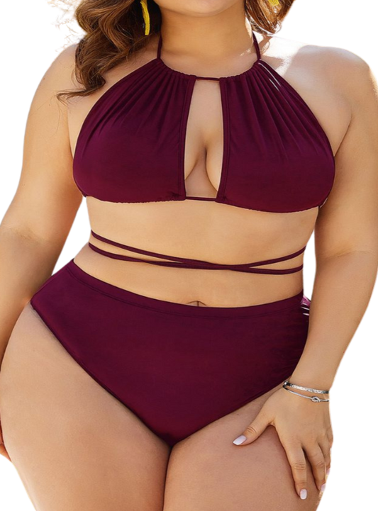 Plus Size Cutout Bikini Set - perfect fit, backless charm, and high-waisted elegance for the ultimate beach look