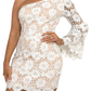 One-Shoulder Flare Sleeve Lace Dress