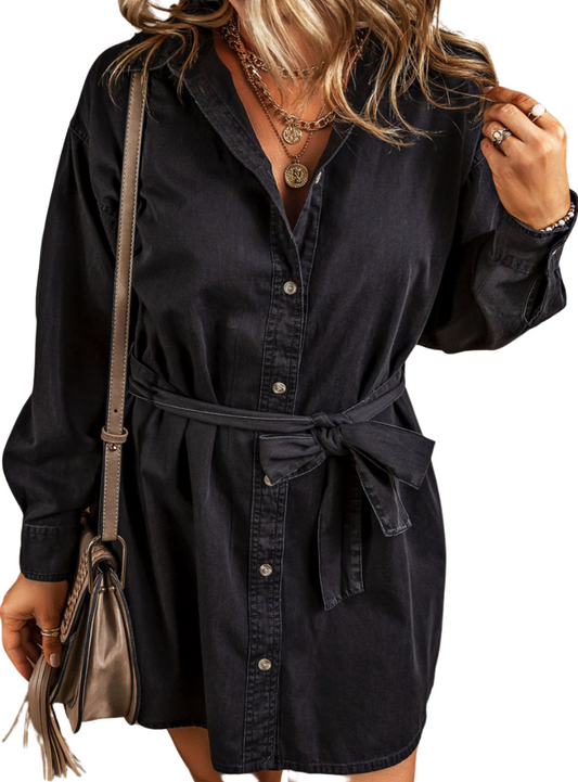 Button Up Collared Neck Denim Dress