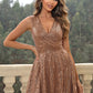 Sequin Surplice Neck Sleeveless Dress - Whimsical Appalachian Boutique