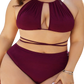 Plus Size Cutout Tied Backless Bikini Set - Whimsical Appalachian Boutique